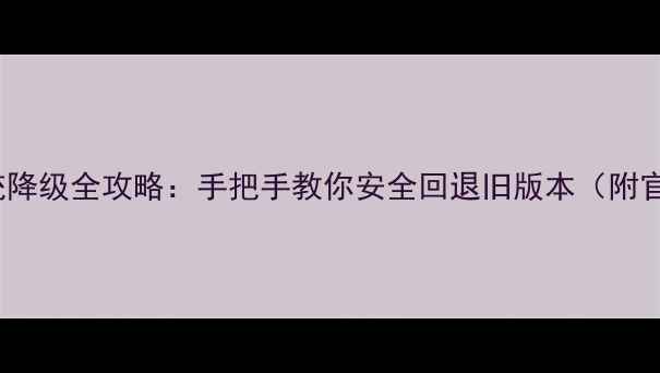魅族Flyme系统降级全攻略手把手教你安全回退旧版本附官方工具下载