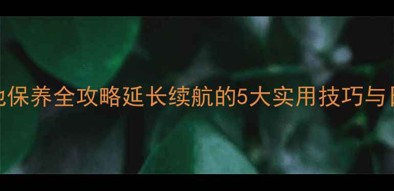图片 魅蓝手机电池保养全攻略延长续航的5大实用技巧与日常维护指南