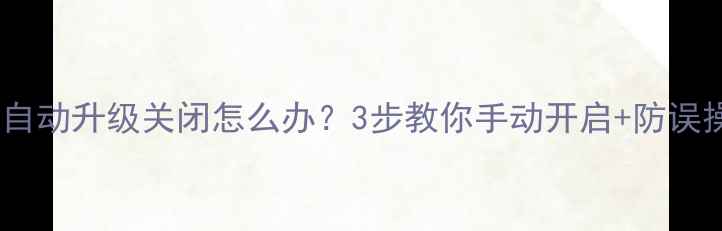 图片 魅蓝系统自动升级关闭怎么办？3步教你手动开启+防误操作指南1