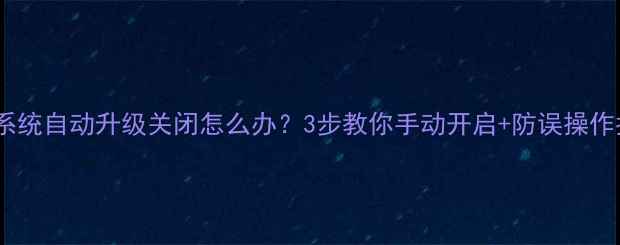 图片 魅蓝系统自动升级关闭怎么办？3步教你手动开启+防误操作指南2