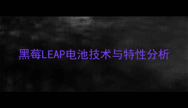 黑莓LEAP电池技术与特性分析