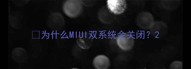 图片 💡为什么MIUI双系统会关闭？2