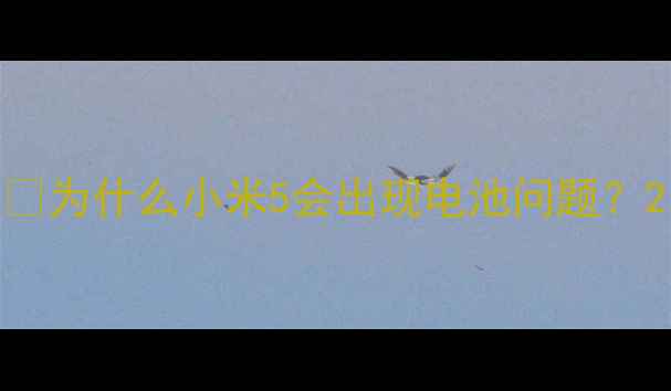 图片 💡为什么小米5会出现电池问题？2