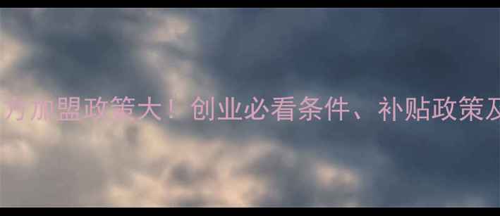 OPPOVIVO官方加盟政策大创业必看条件补贴政策及开店全流程