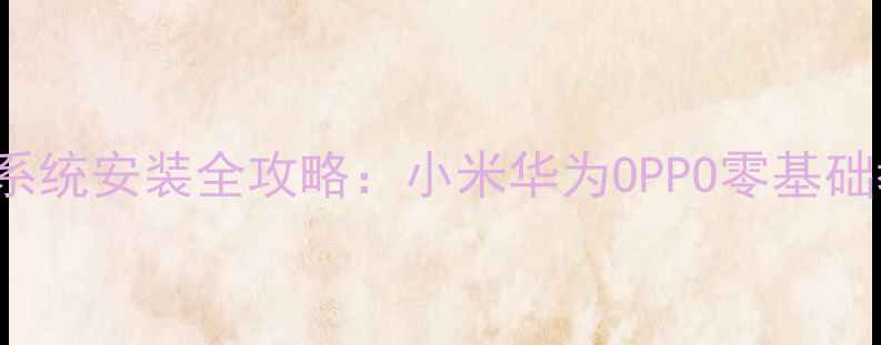 DriverDroid手机系统安装全攻略小米华为OPPO零基础教程附避坑指南