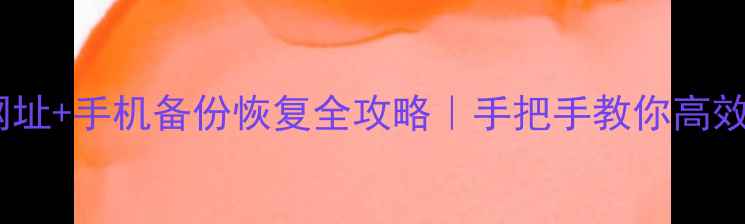 OPPO云服务网址手机备份恢复全攻略手把手教你高效管理手机数据