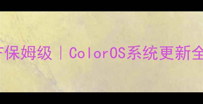 图片 📱OPPO手机版本号PAF保姆级｜ColorOS系统更新全攻略（附避坑指南）