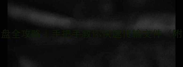 OPPO手机连接U盘全攻略手把手教你快速传输文件附常见问题解答