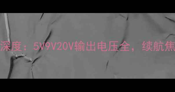 图片 📱OPPO闪充技术深度：5V9V20V输出电压全，续航焦虑终结者来了！