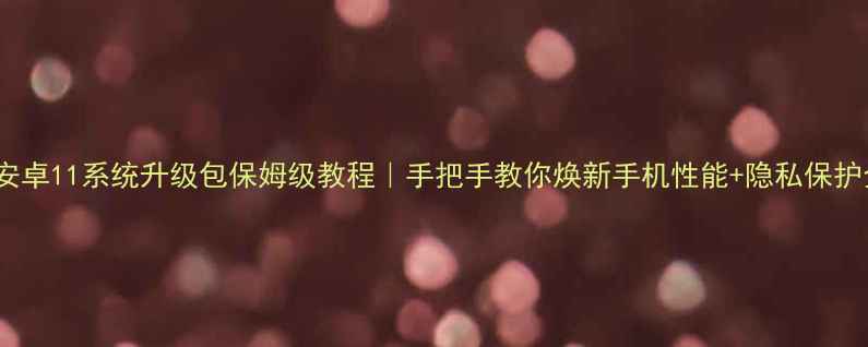 TCL安卓11系统升级包保姆级教程手把手教你焕新手机性能隐私保护全攻略