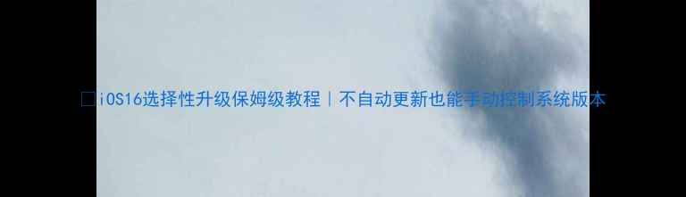 iOS16选择性升级保姆级教程不自动更新也能手动控制系统版本