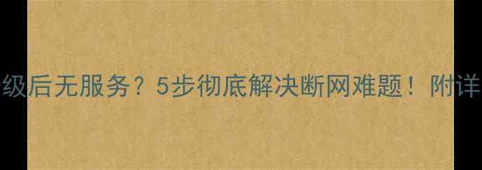 图片 📱iOS升级后无服务？5步彻底解决断网难题！附详细教程2