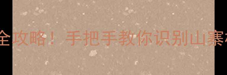 iPhone6s辨别真伪全攻略手把手教你识别山寨机附防坑指南