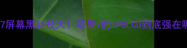 iPhone7屏幕黑科技大苹果7的IPSLCD到底强在哪里