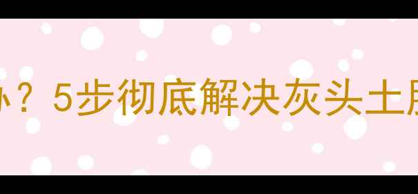 图片 📱iPhone摄像头进灰怎么办？5步彻底解决灰头土脸的镜头，附赠防尘技巧！