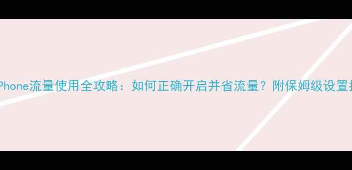 图片 📱iPhone流量使用全攻略：如何正确开启并省流量？附保姆级设置指南
