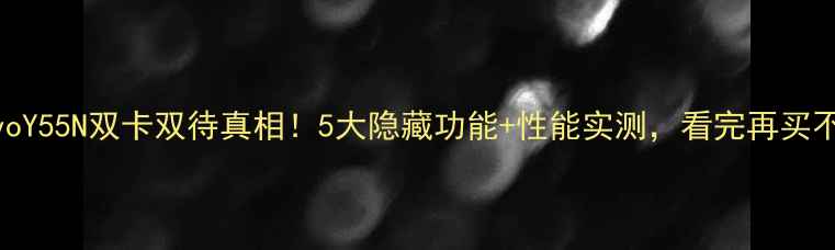 vivoY55N双卡双待真相5大隐藏功能性能实测看完再买不踩坑