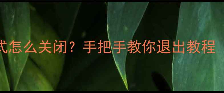 vivo访客模式怎么关闭手把手教你退出教程附图文步骤