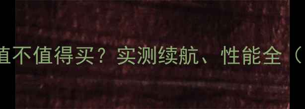 vivo远航版值不值得买实测续航性能全附隐藏彩蛋