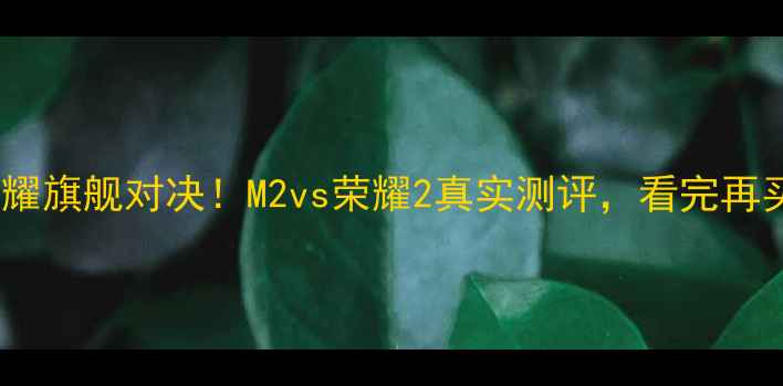 华为vs荣耀旗舰对决M2vs荣耀2真实测评看完再买不踩坑