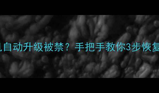 安卓手机自动升级被禁手把手教你3步恢复权限