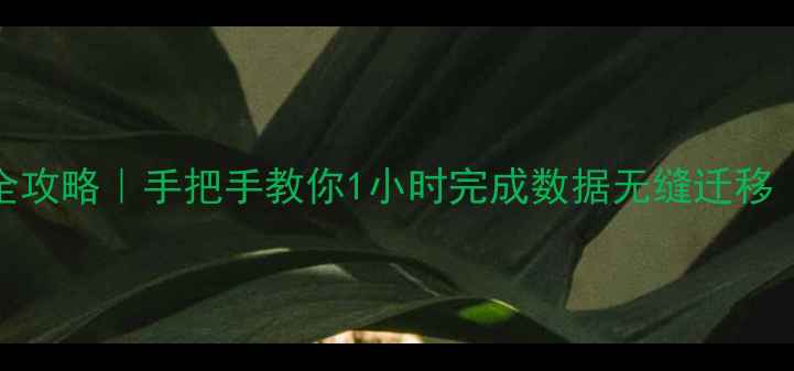 安卓转苹果全攻略手把手教你1小时完成数据无缝迁移附免费工具