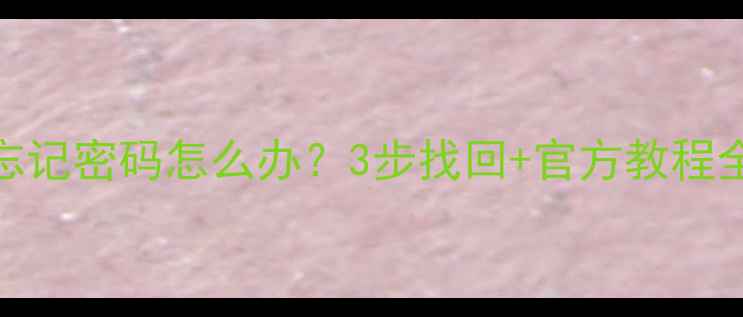 小鲜2忘记密码怎么办3步找回官方教程全攻略