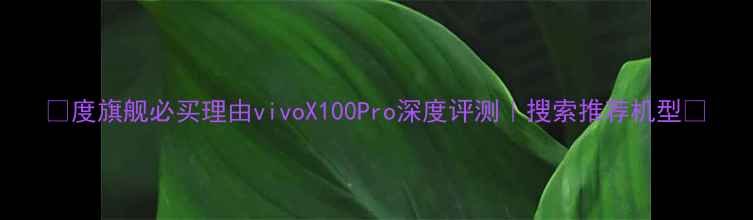 度旗舰必买理由vivoX100Pro深度评测搜索推荐机型