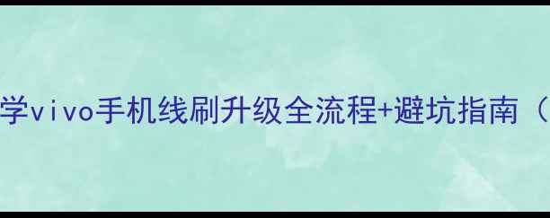 手把手教学vivo手机线刷升级全流程避坑指南附工具包