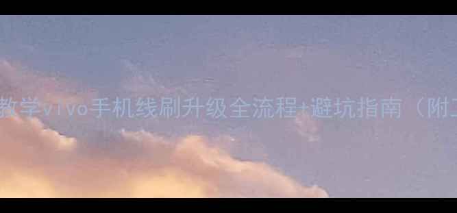 图片 📱手把手教学vivo手机线刷升级全流程+避坑指南（附工具包）1