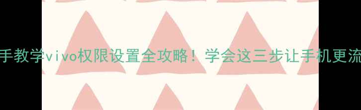 手把手教学vivo权限设置全攻略学会这三步让手机更流畅安全