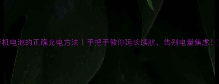 手机电池的正确充电方法手把手教你延长续航告别电量焦虑