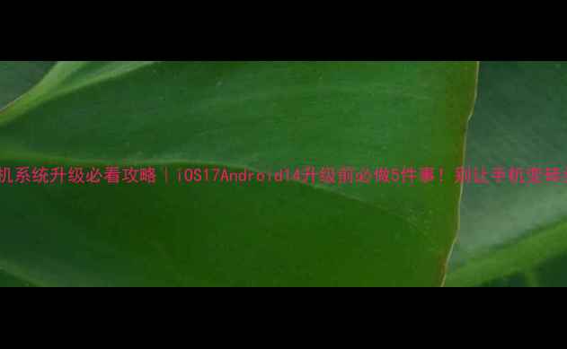 手机系统升级必看攻略iOS17Android14升级前必做5件事别让手机变砖头
