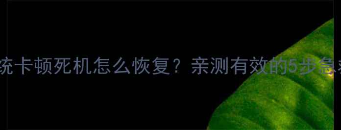 手机系统卡顿死机怎么恢复亲测有效的5步急救指南