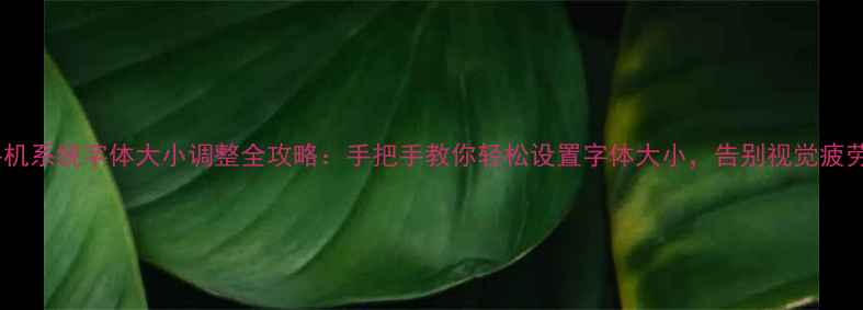 手机系统字体大小调整全攻略手把手教你轻松设置字体大小告别视觉疲劳