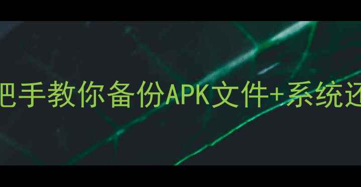 手机系统崩溃必看手把手教你备份APK文件系统还原手机党必备保姆级教程