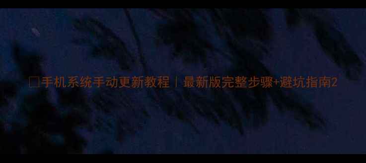 图片 📱手机系统手动更新教程｜最新版完整步骤+避坑指南2