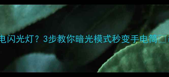 图片 📱苹果手机如何开启来电闪光灯？3步教你暗光模式秒变手电筒🔦iOS16暗夜模式必看教程