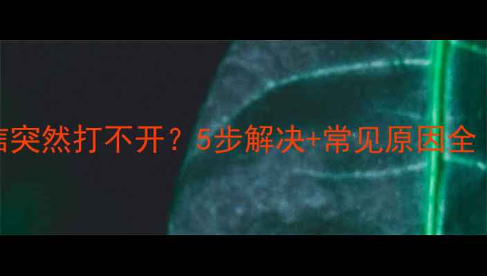 苹果手机微信突然打不开5步解决常见原因全附图文教程