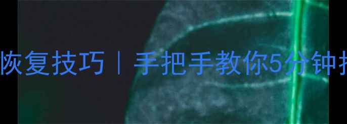 苹果手机照片恢复技巧手把手教你5分钟找回删除的相册