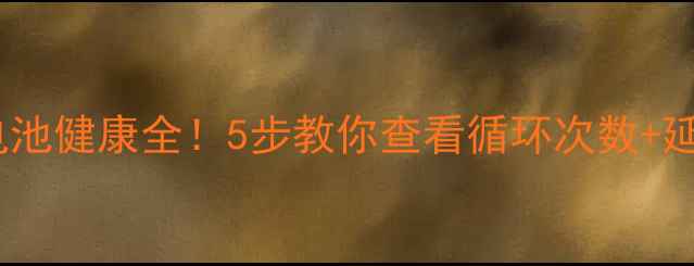 图片 📱苹果手机电池健康全！5步教你查看循环次数+延长续航技巧2