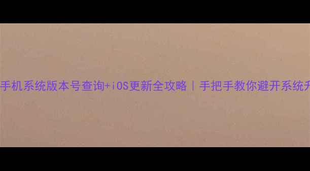 苹果手机系统版本号查询iOS更新全攻略手把手教你避开系统升级坑