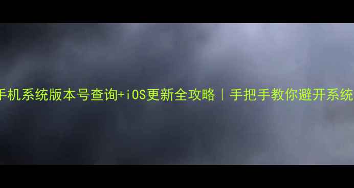 图片 📱苹果手机系统版本号查询+iOS更新全攻略｜手把手教你避开系统升级坑2