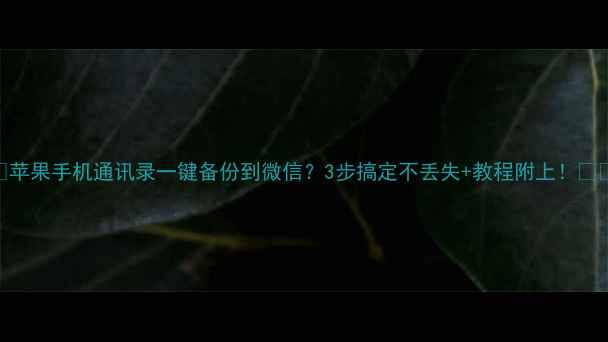 苹果手机通讯录一键备份到微信3步搞定不丢失教程附上