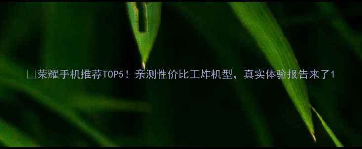 图片 📱荣耀手机推荐TOP5！亲测性价比王炸机型，真实体验报告来了1