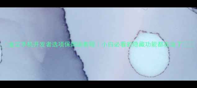 金立手机开发者选项保姆级教程小白必看的隐藏功能都在这了