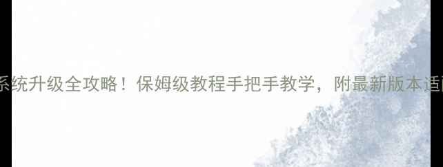 图片 📱金立金刚系统升级全攻略！保姆级教程手把手教学，附最新版本适配机型清单1