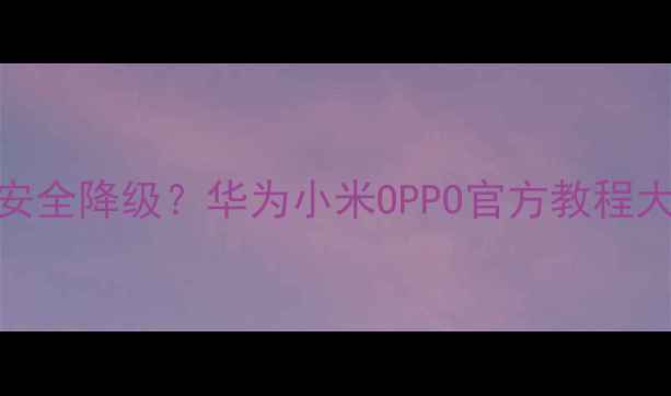 图片 📱💻系统升级后如何安全降级？华为小米OPPO官方教程大公开（附注意事项）