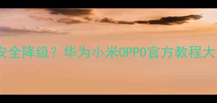 图片 📱💻系统升级后如何安全降级？华为小米OPPO官方教程大公开（附注意事项）2