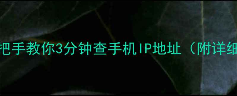 最新教程手把手教你3分钟查手机IP地址附详细步骤常见问题